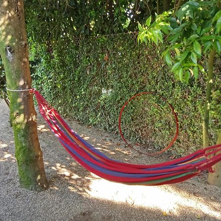 Quinta da Maínha Solar ALojamento local com piscina privada em Braga Exterior foto