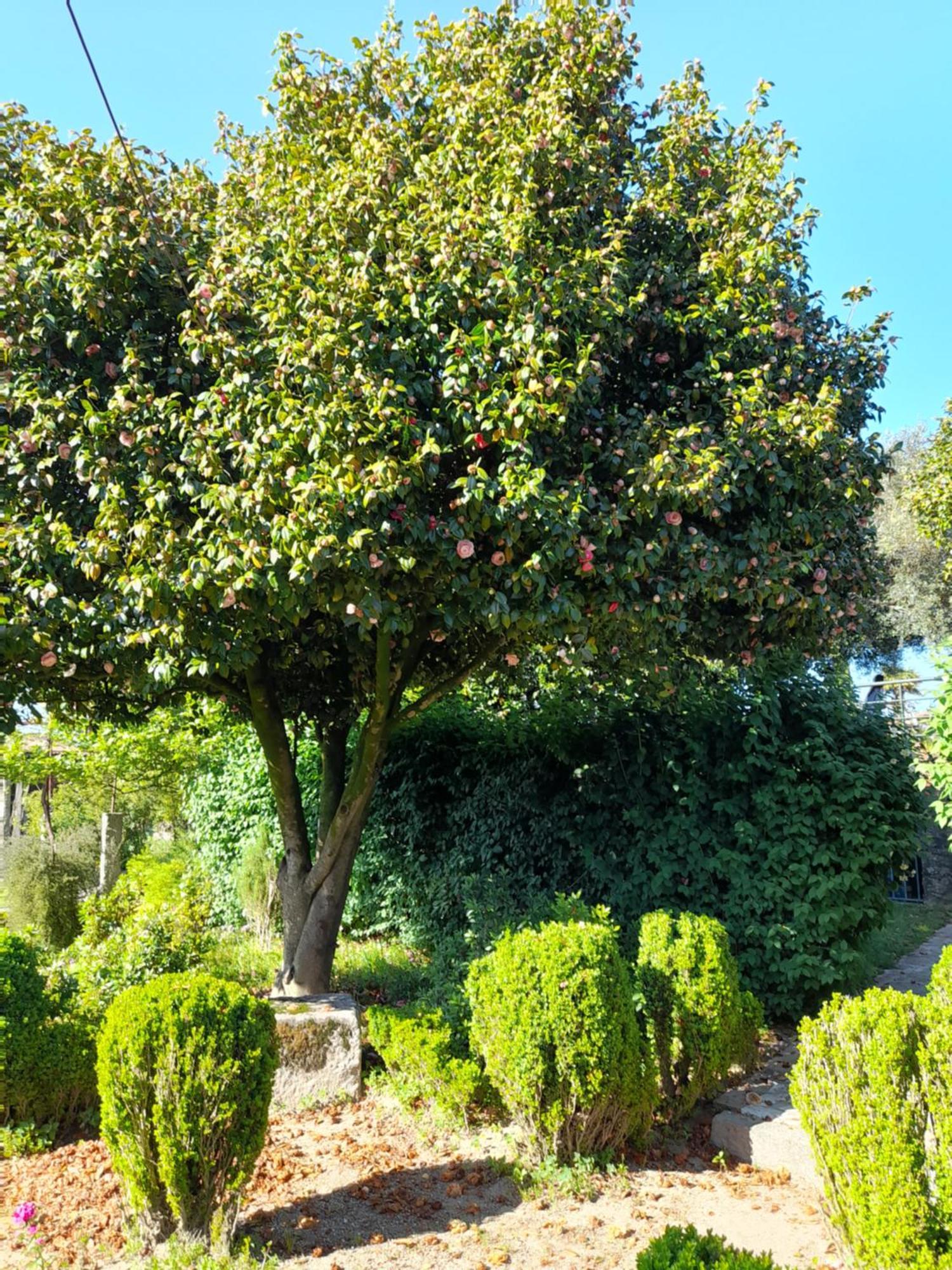 Quinta da Maínha Solar ALojamento local com piscina privada em Braga Exterior foto