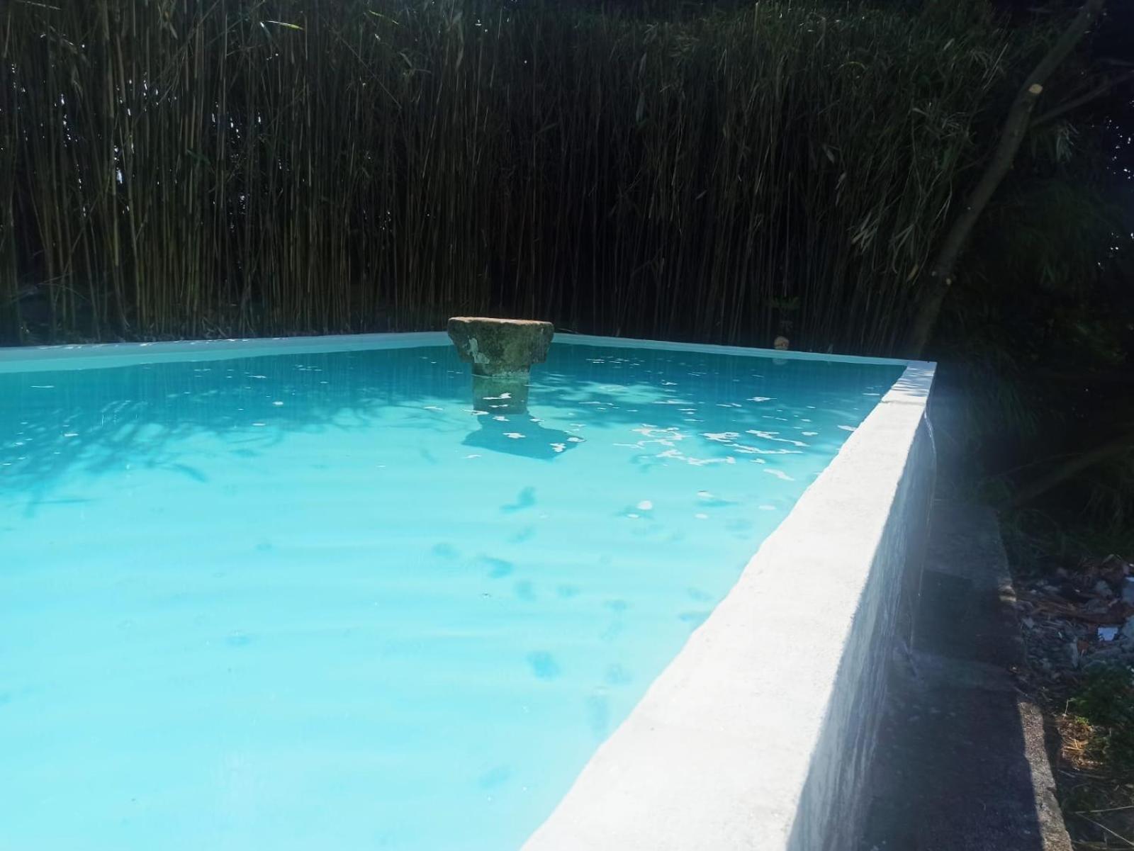Quinta da Maínha Solar ALojamento local com piscina privada em Braga Exterior foto